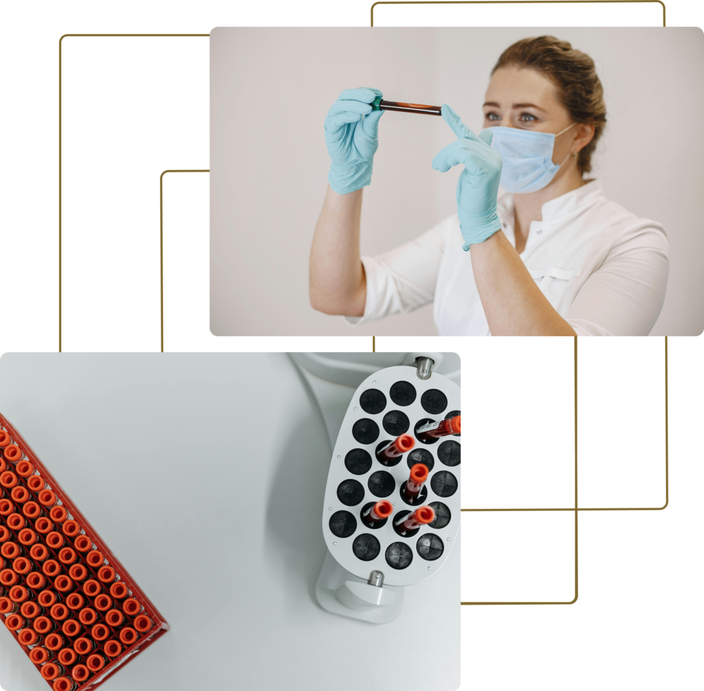 Group-271-1024x1005 IMERSÃO PRÁTICA EM CITOLOGIA HEMATOLÓGICA - DO HEMOGRAMA AO MIELOGRAMA